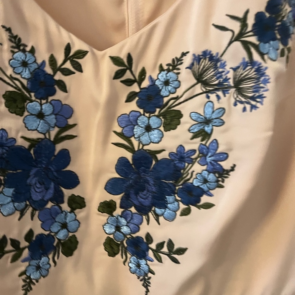 Collectif Cream Midi Dress with Blue Floral Embroidery